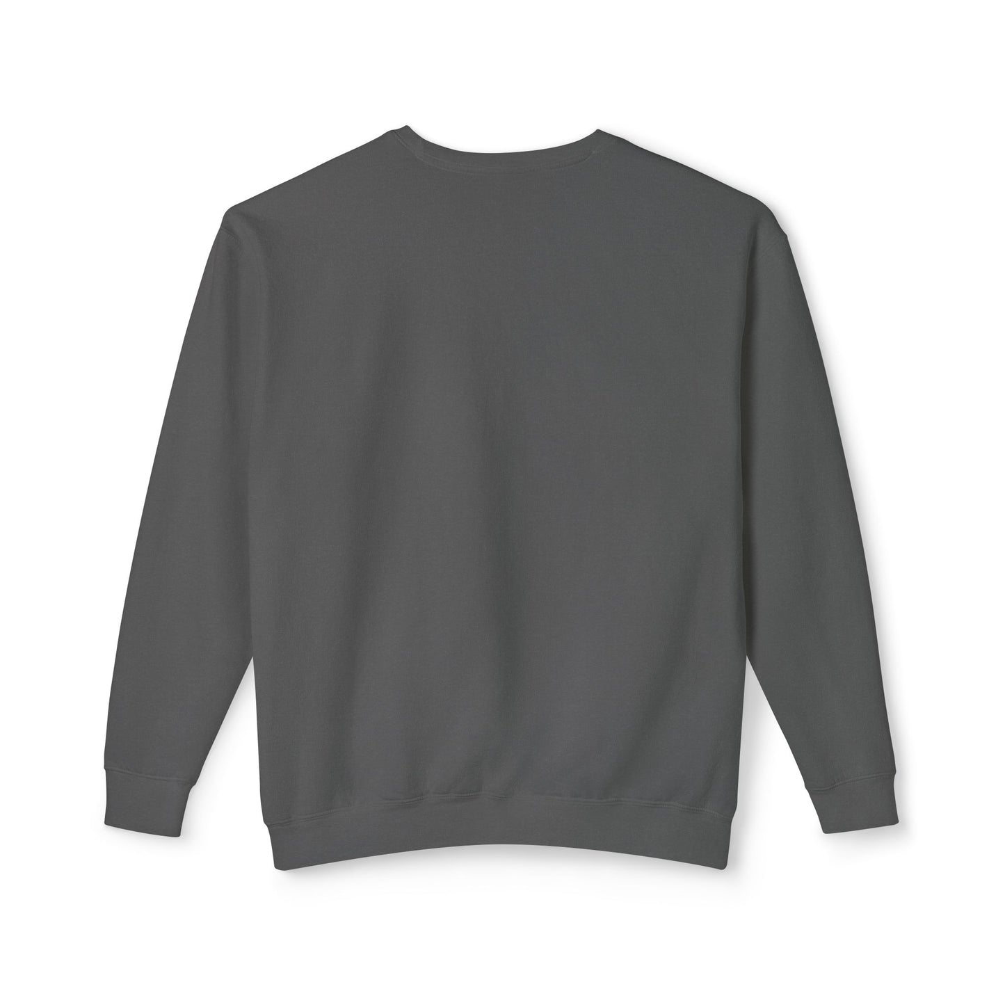 KNOWN Lightweight Crewneck Sweatshirt